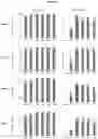 Fig. 04 - Dengue vaccine unit dose and administration thereof