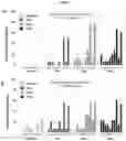Fig. 09 - Dengue vaccine unit dose and administration thereof