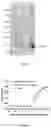 Fig. 04 - Treatment of insect bite hypersensitivity
