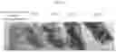Fig. 02 - Methods for making mixed allergen compositions
