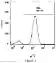 Fig. 02 - COMBINATION FOR T-CELL IMMUNOTHERAPY AND USE THEREOF