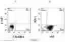 Fig. 04 - COMBINATION FOR T-CELL IMMUNOTHERAPY AND USE THEREOF