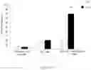 Fig. 06 - COMBINATION FOR T-CELL IMMUNOTHERAPY AND USE THEREOF