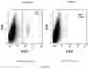 Fig. 07 - COMBINATION FOR T-CELL IMMUNOTHERAPY AND USE THEREOF