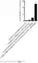 Fig. 10 - COMBINATION FOR T-CELL IMMUNOTHERAPY AND USE THEREOF