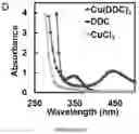 Fig. 16 - Method for preparing stabilized metal ion ligand nanocomplex and compositions thereof