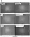 Fig. 29 - Method for preparing stabilized metal ion ligand nanocomplex and compositions thereof