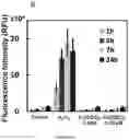 Fig. 31 - Method for preparing stabilized metal ion ligand nanocomplex and compositions thereof