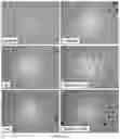 Fig. 41 - Method for preparing stabilized metal ion ligand nanocomplex and compositions thereof