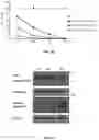 Fig. 04 - Castration resistant prostate cancer