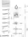 Fig. 02 - Peptide-oligourea hybrid compounds