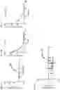 Fig. 08 - Peptide-oligourea hybrid compounds