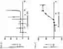 Fig. 09 - Peptide-oligourea hybrid compounds