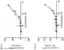 Fig. 14 - Peptide-oligourea hybrid compounds