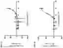 Fig. 15 - Peptide-oligourea hybrid compounds