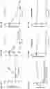 Fig. 17 - Peptide-oligourea hybrid compounds
