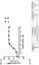Fig. 24 - Peptide-oligourea hybrid compounds