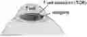 Fig. 01 - Artificial antigen-presenting cells and methods for producing and using the same