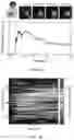 Fig. 05 - Artificial antigen-presenting cells and methods for producing and using the same