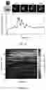 Fig. 06 - Artificial antigen-presenting cells and methods for producing and using the same