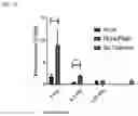 Fig. 12 - Biodegradable biomimetic particles