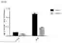Fig. 15 - Biodegradable biomimetic particles