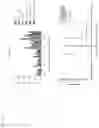Fig. 18 - Biodegradable biomimetic particles
