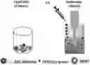 Fig. 01 - Particles comprising bilirubin derivative and metal