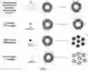 Fig. 02 - Particles comprising bilirubin derivative and metal
