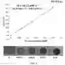 Fig. 11 - Particles comprising bilirubin derivative and metal