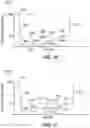 Fig. 13 - Apparatus and method for sterilizing endoscope