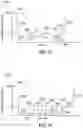 Fig. 14 - Apparatus and method for sterilizing endoscope