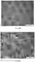 Fig. 06 - Post-3D printing functionalization of polymer scaffolds for enhanced bioactivity