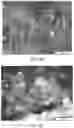 Fig. 08 - Post-3D printing functionalization of polymer scaffolds for enhanced bioactivity