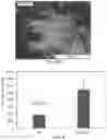 Fig. 10 - Post-3D printing functionalization of polymer scaffolds for enhanced bioactivity