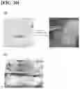 Fig. 15 - HYDROGEL USING, AS SUBSTRATE, HYALURONIC ACID DERIVATIVE MODIFIED WITH GALLOL GROUP AND USE THEREOF