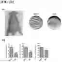 Fig. 18 - HYDROGEL USING, AS SUBSTRATE, HYALURONIC ACID DERIVATIVE MODIFIED WITH GALLOL GROUP AND USE THEREOF