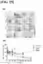 Fig. 20 - HYDROGEL USING, AS SUBSTRATE, HYALURONIC ACID DERIVATIVE MODIFIED WITH GALLOL GROUP AND USE THEREOF