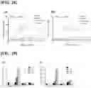 Fig. 23 - HYDROGEL USING, AS SUBSTRATE, HYALURONIC ACID DERIVATIVE MODIFIED WITH GALLOL GROUP AND USE THEREOF