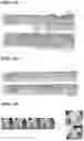Fig. 26 - HYDROGEL USING, AS SUBSTRATE, HYALURONIC ACID DERIVATIVE MODIFIED WITH GALLOL GROUP AND USE THEREOF