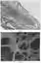 Fig. 02 - Biological tissue matrix material, preparation method therefor and use thereof in otological repair material