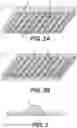 Fig. 03 - TISSUE MATRICES INCORPORATING MULTIPLE TISSUE TYPES