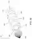 Fig. 13 - Drug Eluting Implant