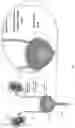 Fig. 02 - Biodegradable ureteral stents, methods and uses thereof