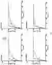 Fig. 05 - Biodegradable ureteral stents, methods and uses thereof