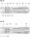 Fig. 04 - Accessory device for drug delivery device