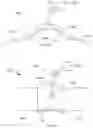 Fig. 19 - CRYOLIPOLYSIS DEVICES AND METHODS THEREFOR