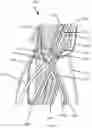 Fig. 22 - CRYOLIPOLYSIS DEVICES AND METHODS THEREFOR