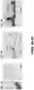 Fig. 06 - Gaseous nitric oxide delivery system and methods of use