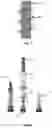 Fig. 02 - Aerosolization using two aerosol generators